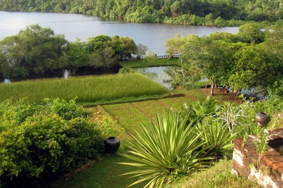 Lunuganga Estate – Geoffrey Bawa’s Garden Masterpiece in Sri Lanka