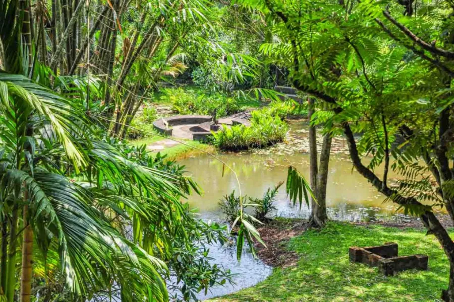 Lunuganga Estate – Geoffrey Bawa’s Garden Masterpiece in Sri Lanka