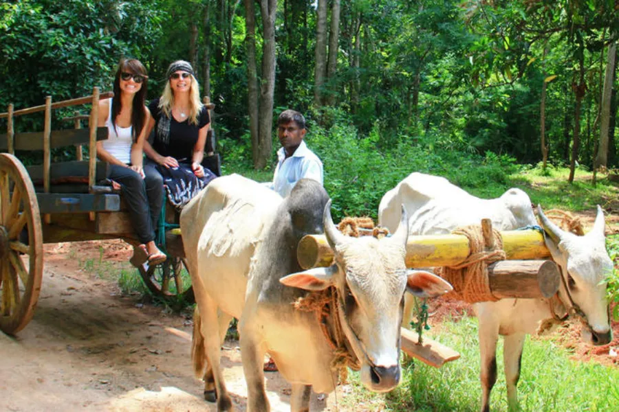 Habarana – Sri Lanka’s Cultural Triangle Base for Safari & Heritage