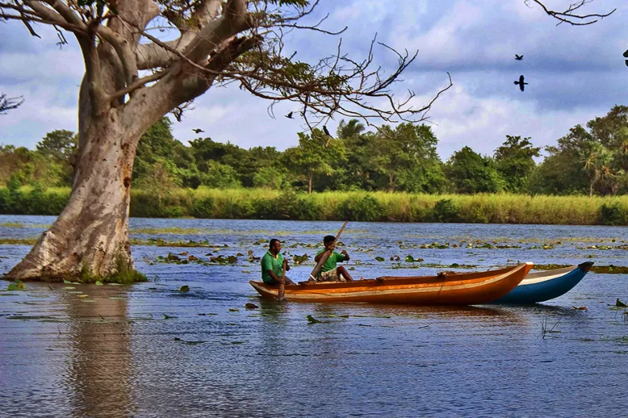 Habarana – Sri Lanka’s Cultural Triangle Base for Safari & Heritage