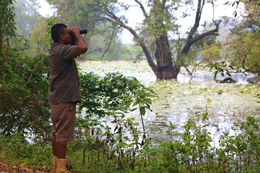 Habarana – Sri Lanka’s Cultural Triangle Base for Safari & Heritage