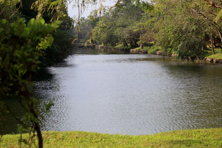 Habarana – Sri Lanka’s Cultural Triangle Base for Safari & Heritage