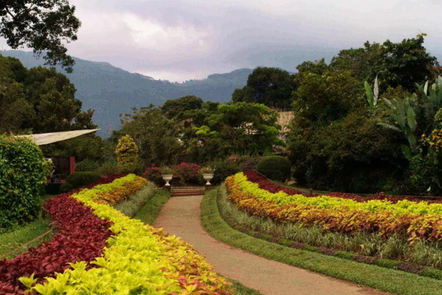 Hakgala Botanical Garden – Sri Lanka’s Misty Garden of Legends
