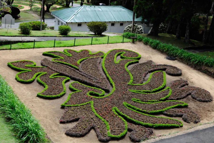 Hakgala Botanical Garden – Sri Lanka’s Misty Garden of Legends