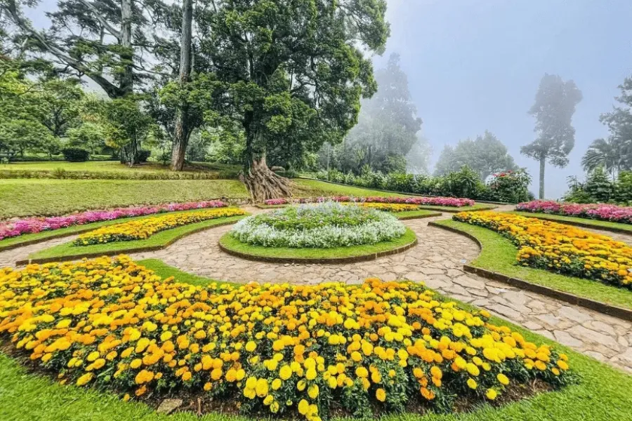 Hakgala Botanical Garden – Sri Lanka’s Misty Garden of Legends