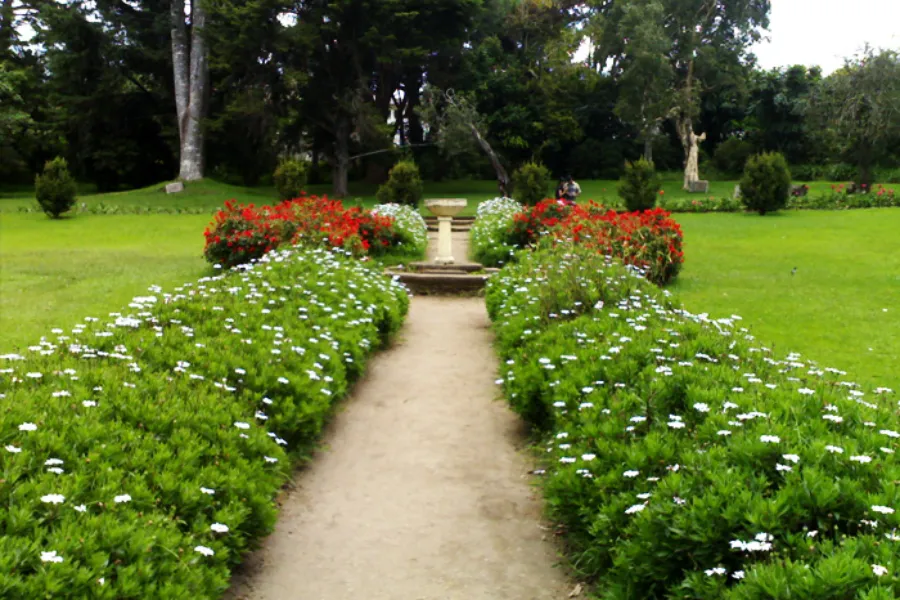 Hakgala Botanical Garden – Sri Lanka’s Misty Garden of Legends