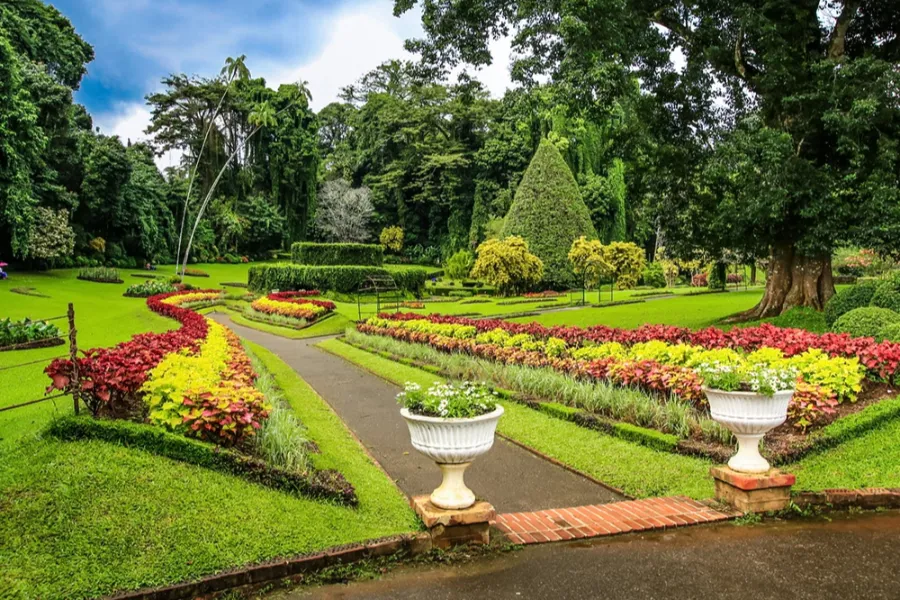 Hakgala Botanical Garden – Sri Lanka’s Misty Garden of Legends