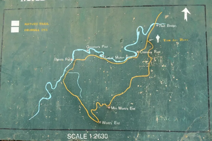 Horton Plains National Park – Hike to World’s End in Sri Lanka’s Highlands