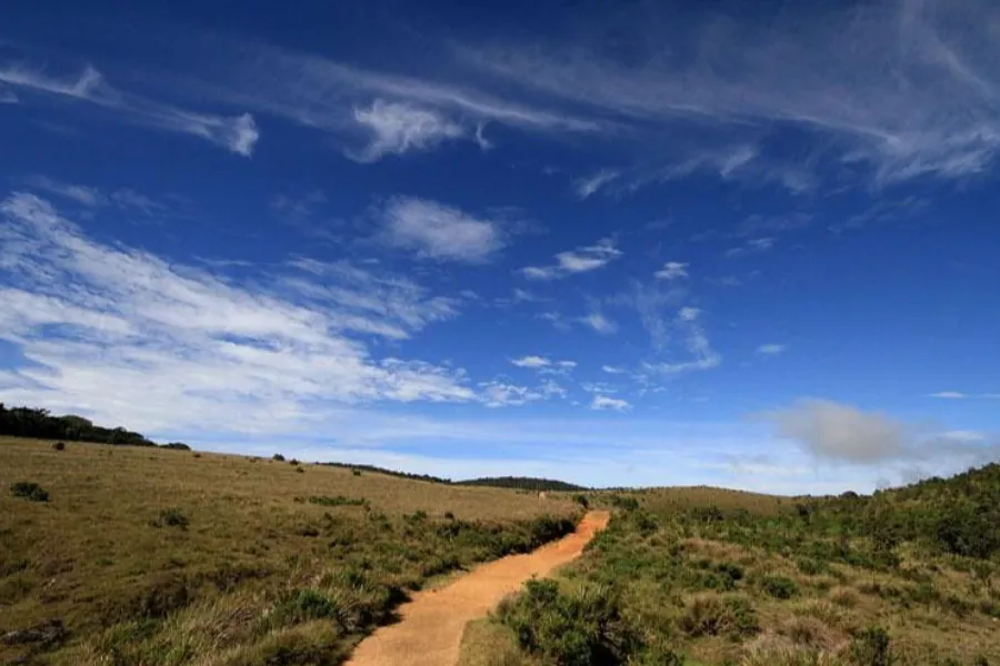 Horton Plains National Park – Hike to World’s End in Sri Lanka’s Highlands
