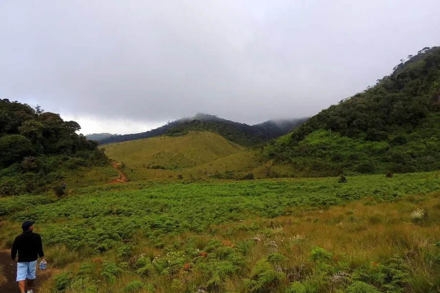 Horton Plains National Park – Hike to World’s End in Sri Lanka’s Highlands
