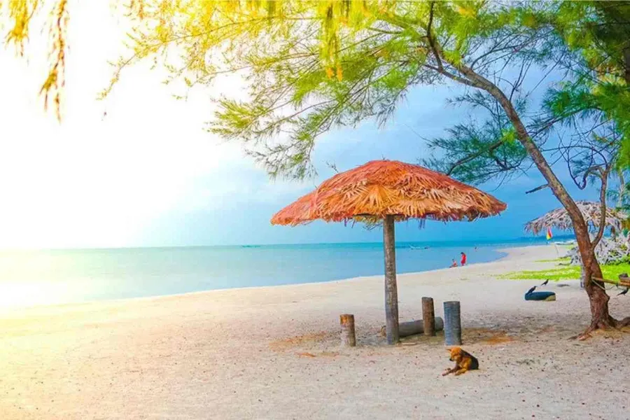 Jaffna Travel Guide – Explore Sri Lanka’s Tamil Heritage in the North | Viathra Leisure