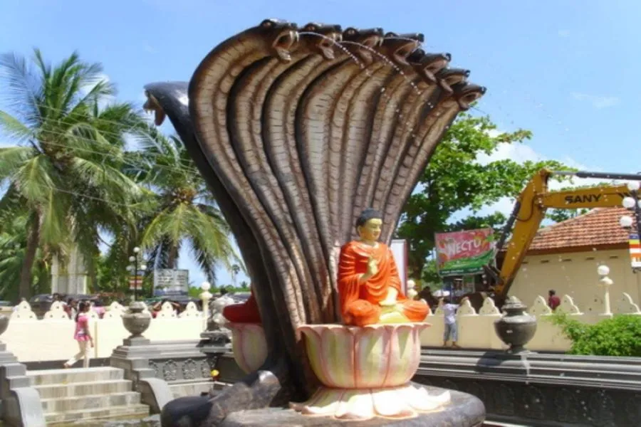 Jaffna Travel Guide – Explore Sri Lanka’s Tamil Heritage in the North | Viathra Leisure