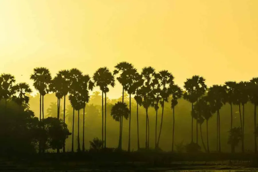 Jaffna Travel Guide – Explore Sri Lanka’s Tamil Heritage in the North | Viathra Leisure