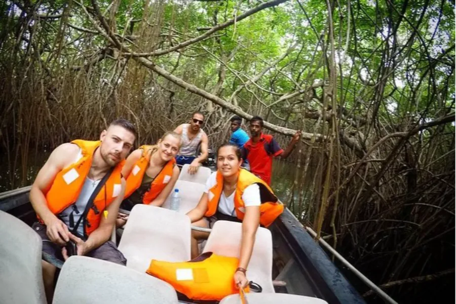 Madu River Safari – Explore Sri Lanka’s Mangrove Paradise in Balapitiya