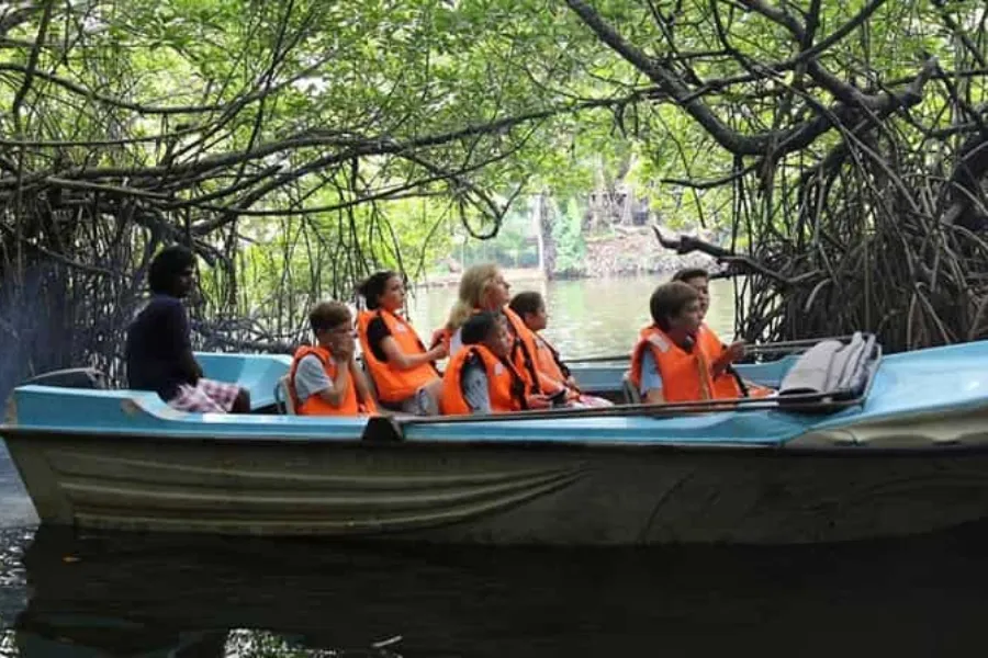 Madu River Safari – Explore Sri Lanka’s Mangrove Paradise in Balapitiya