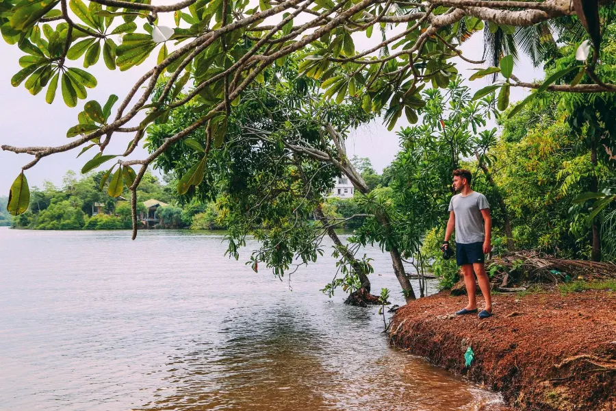 Madu River Safari – Explore Sri Lanka’s Mangrove Paradise in Balapitiya