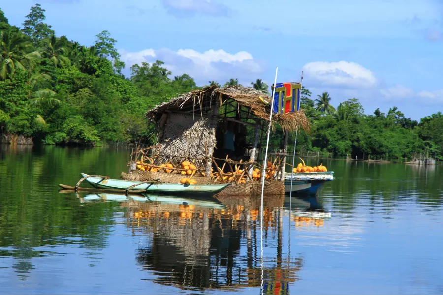 Madu River Safari – Explore Sri Lanka’s Mangrove Paradise in Balapitiya