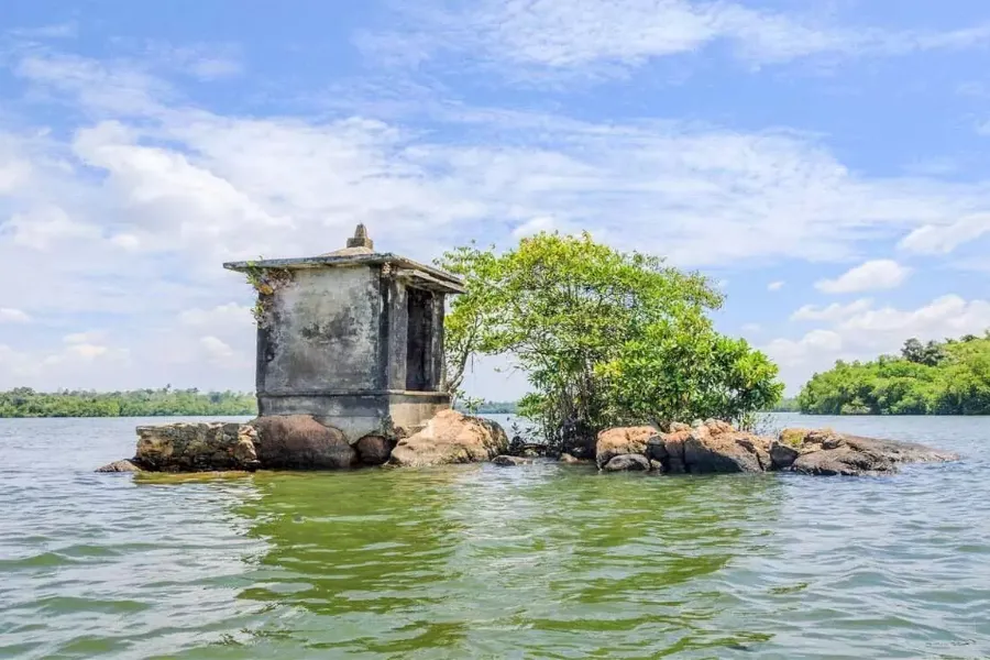 Madu River Safari – Explore Sri Lanka’s Mangrove Paradise in Balapitiya