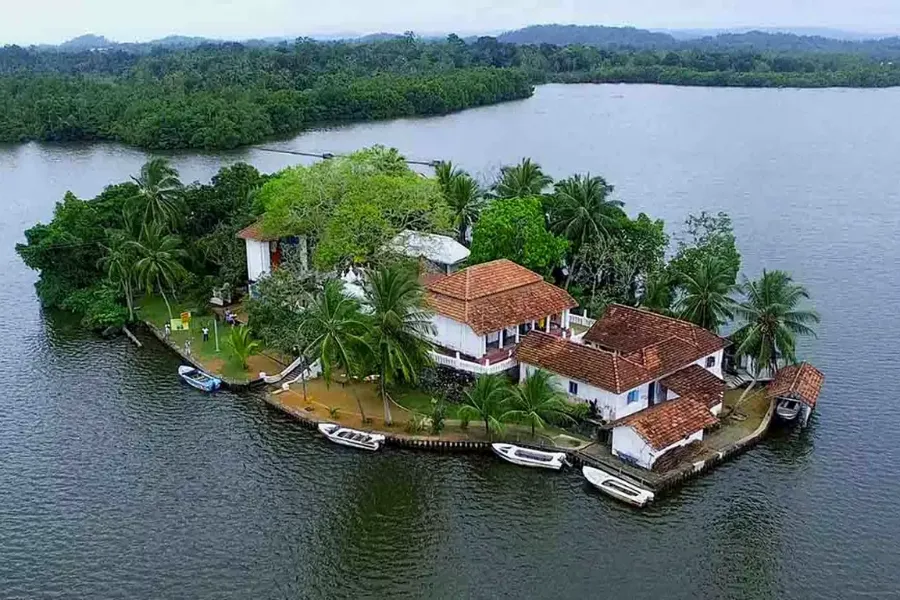 Madu River Safari – Explore Sri Lanka’s Mangrove Paradise in Balapitiya