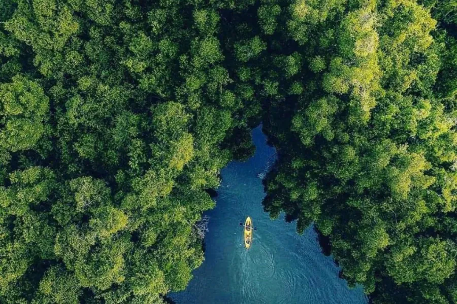 Madu River Safari – Explore Sri Lanka’s Mangrove Paradise in Balapitiya