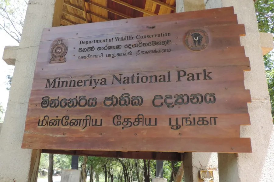Minneriya National Park – Witness the Great Elephant Gathering in Sri Lanka