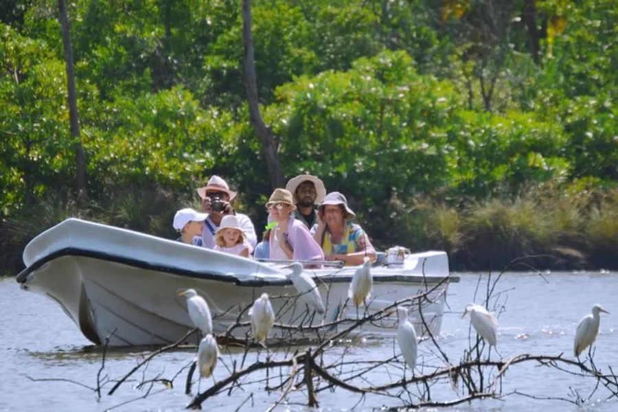 Muthurajawela Wetlands – Explore Colombo’s Secret Wildlife Sanctuary