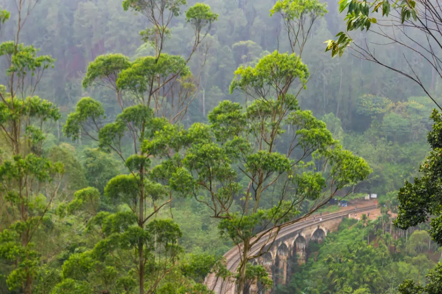 Nine Arch Bridge Ella – Iconic Colonial Railway Bridge in Sri Lanka