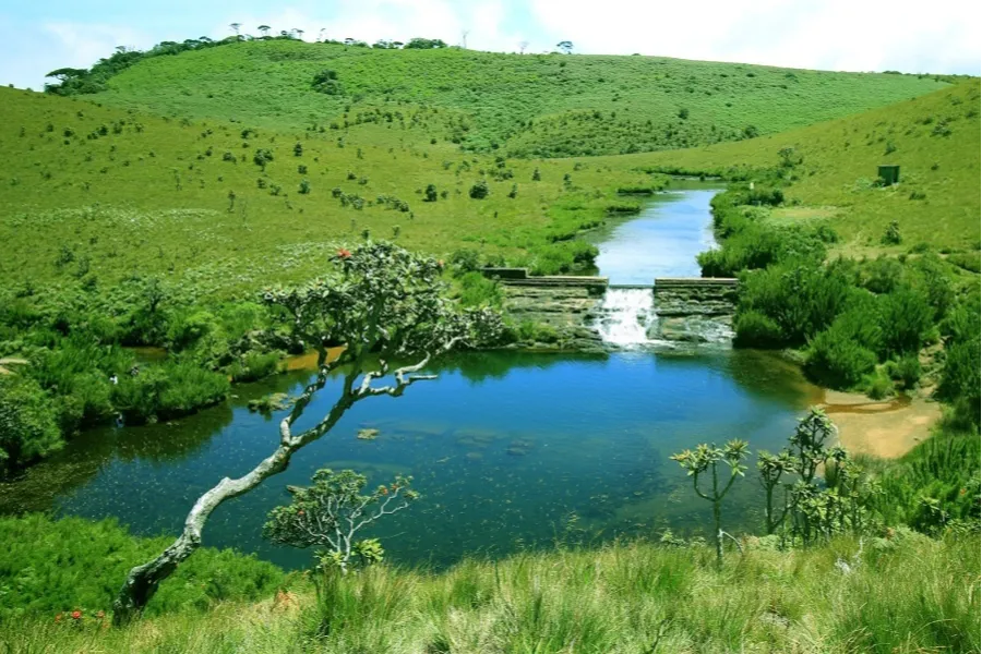 Nuwara Eliya – Discover Sri Lanka’s Little England in the Central Highlands