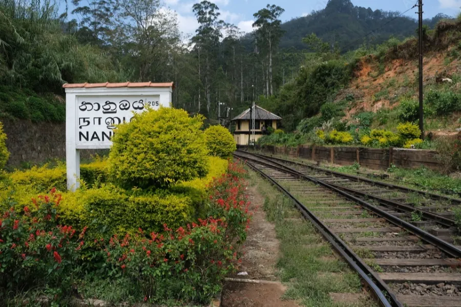 Nuwara Eliya – Discover Sri Lanka’s Little England in the Central Highlands