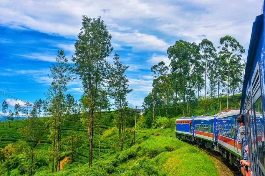 Nuwara Eliya – Discover Sri Lanka’s Little England in the Central Highlands