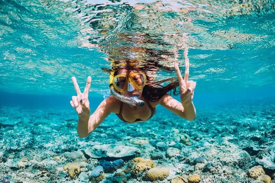 Pigeon Island National Park – Snorkeling with Sharks & Turtles in Sri Lanka