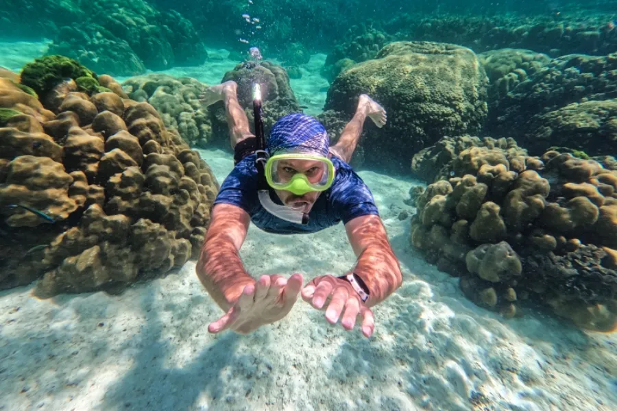Pigeon Island National Park – Snorkeling with Sharks & Turtles in Sri Lanka