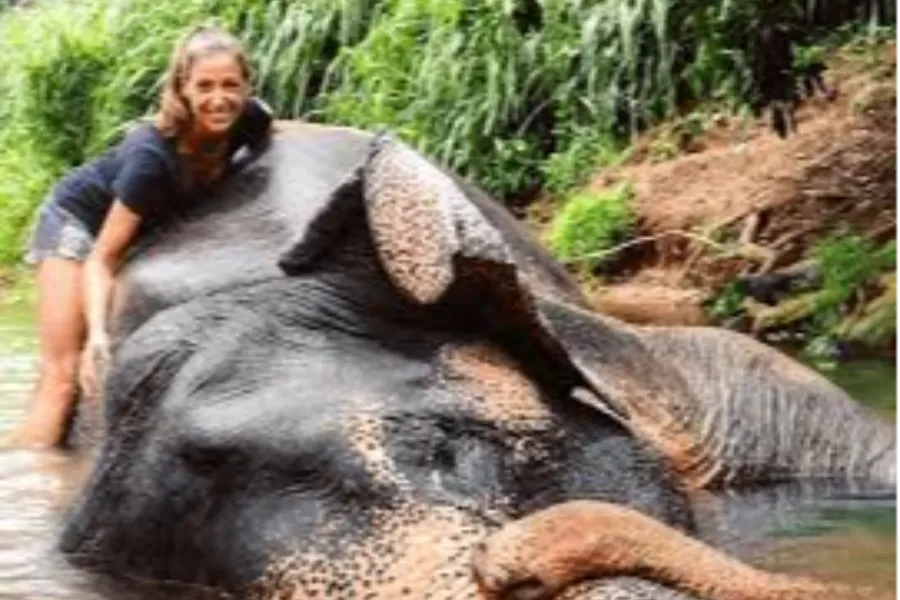 Pinnawala Elephant Orphanage – Watch Elephants Bathe & Play in Sri Lanka