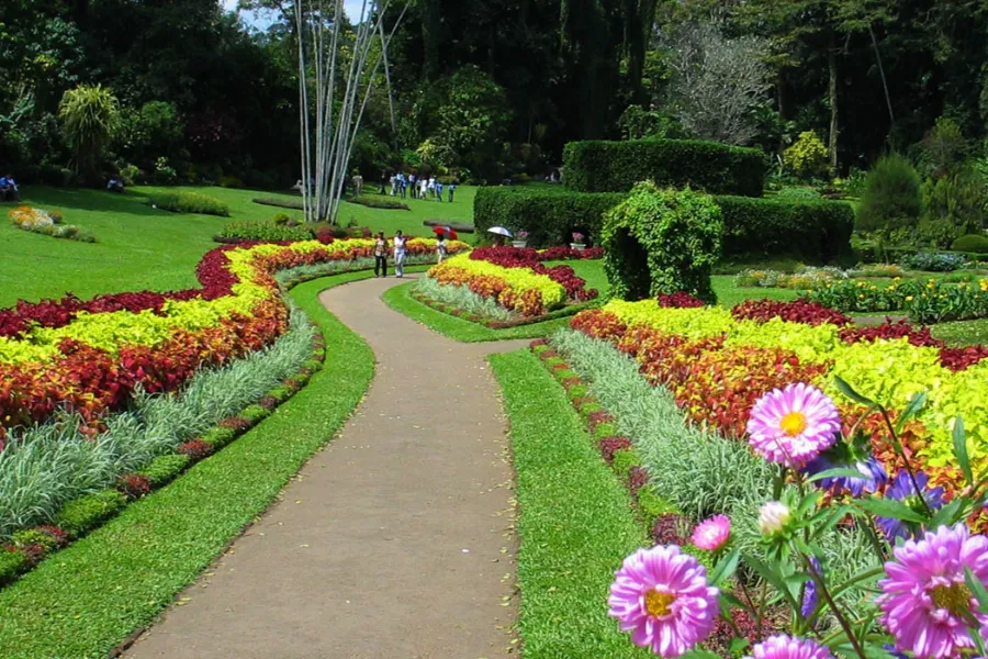 Royal Botanical Gardens Peradeniya – Explore Sri Lanka’s Largest Botanical Paradise