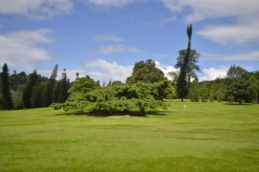 Royal Botanical Gardens Peradeniya – Explore Sri Lanka’s Largest Botanical Paradise