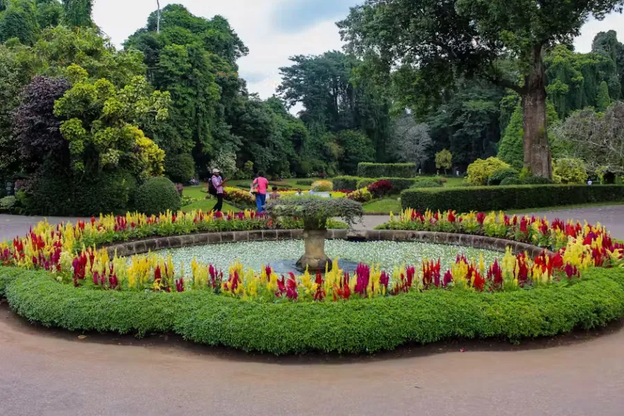 Royal Botanical Gardens Peradeniya – Explore Sri Lanka’s Largest Botanical Paradise
