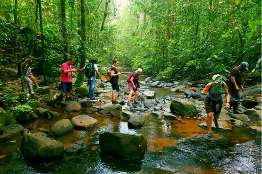 Sinharaja Rainforest – Explore Sri Lanka’s Primal Green Paradise