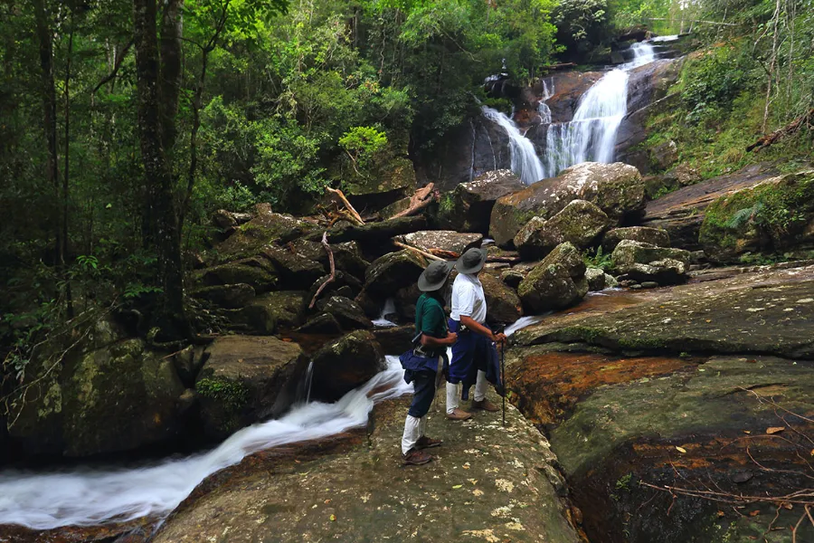 Sinharaja Rainforest – Explore Sri Lanka’s Primal Green Paradise