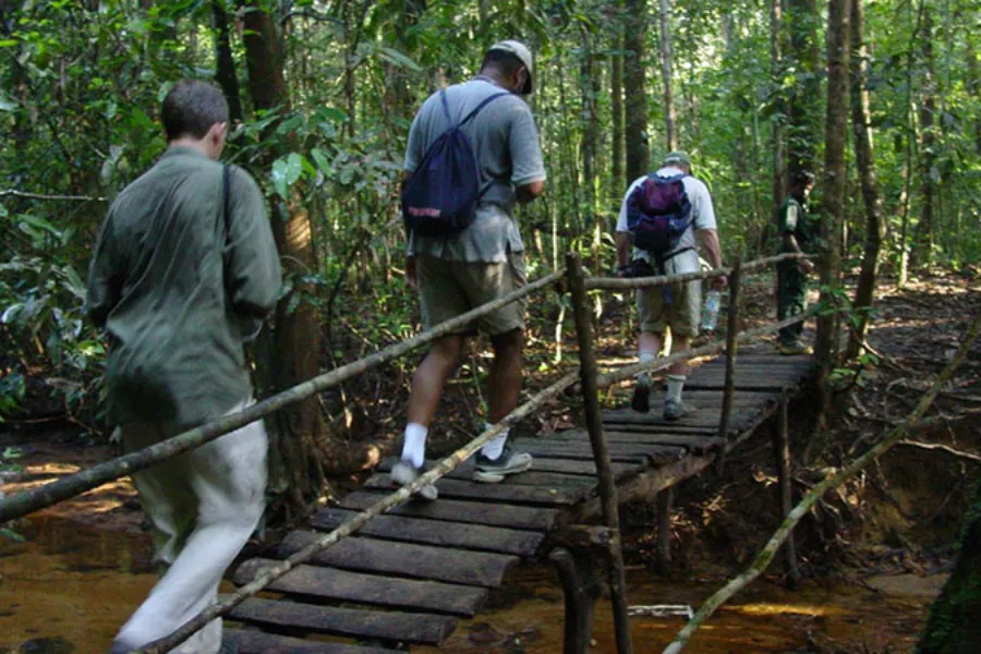 Sinharaja Rainforest – Explore Sri Lanka’s Primal Green Paradise