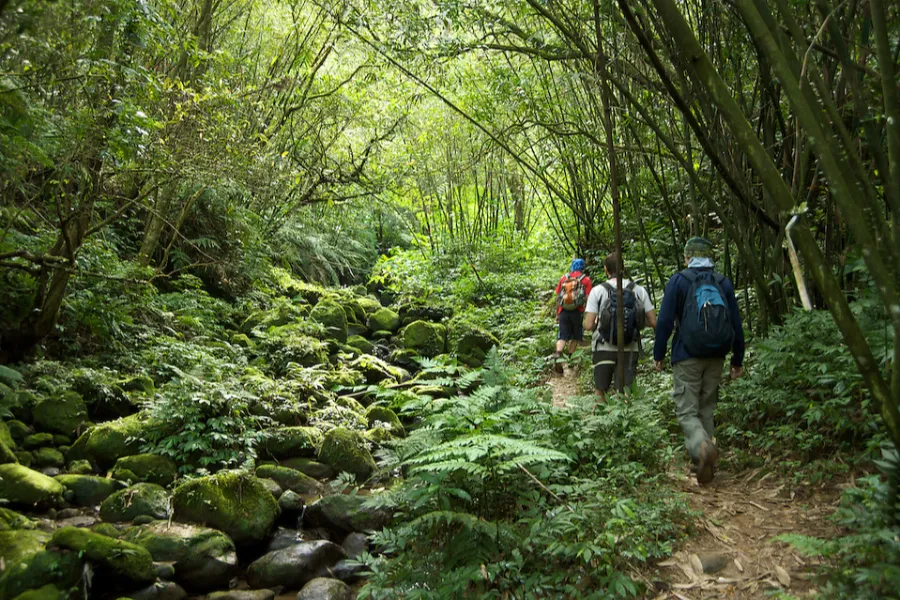 Sinharaja Rainforest – Explore Sri Lanka’s Primal Green Paradise