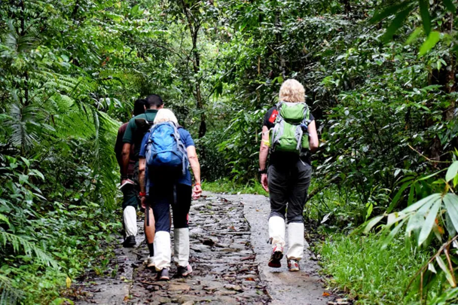 Sinharaja Rainforest – Explore Sri Lanka’s Primal Green Paradise