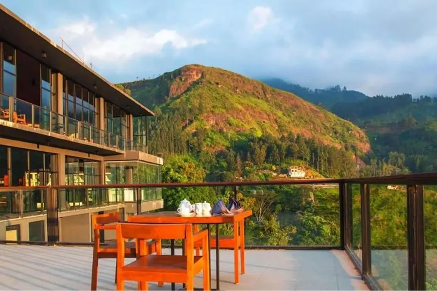 Tea Factory Visit in Sri Lanka – Experience the Heart of Ceylon Tea