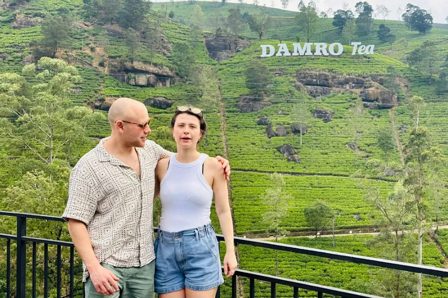 Tea Factory Visit in Sri Lanka – Experience the Heart of Ceylon Tea