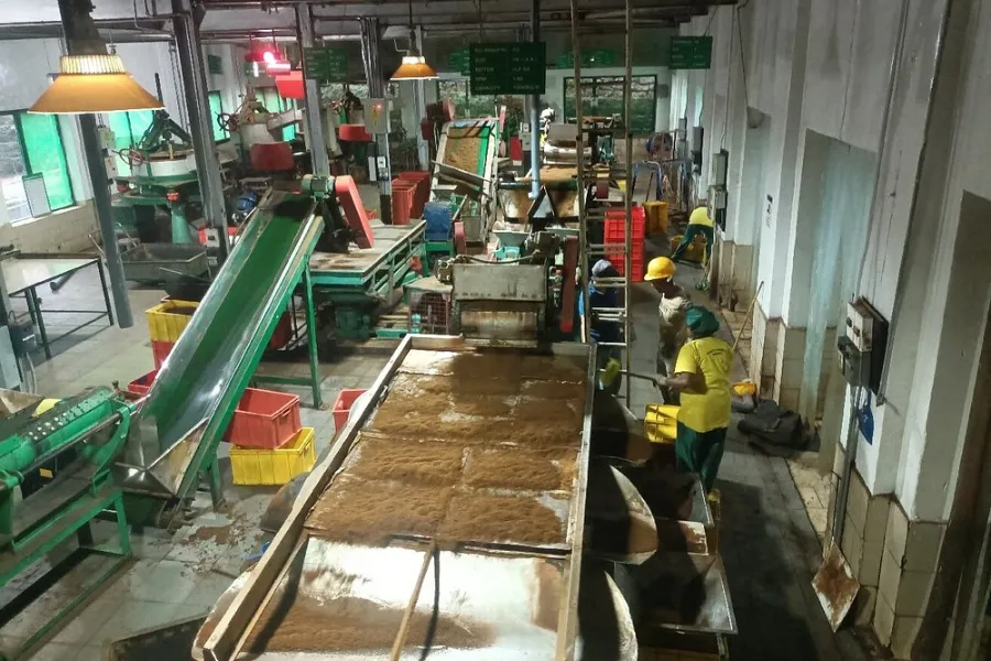 Tea Factory Visit in Sri Lanka – Experience the Heart of Ceylon Tea