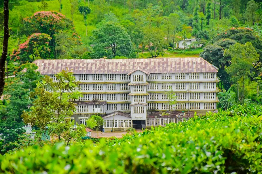 Tea Factory Visit in Sri Lanka – Experience the Heart of Ceylon Tea