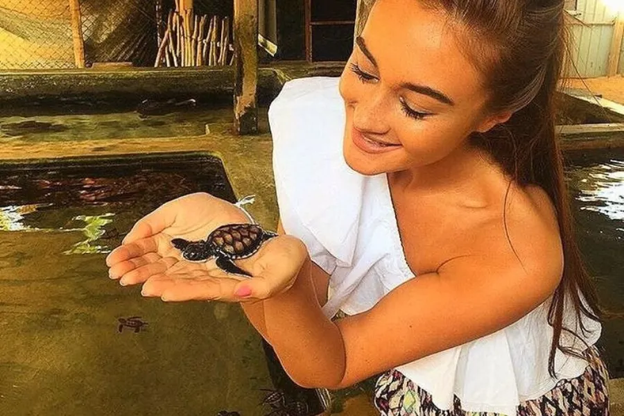 Kosgoda Turtle Hatchery – Protect and Discover Sri Lanka’s Sea Turtles