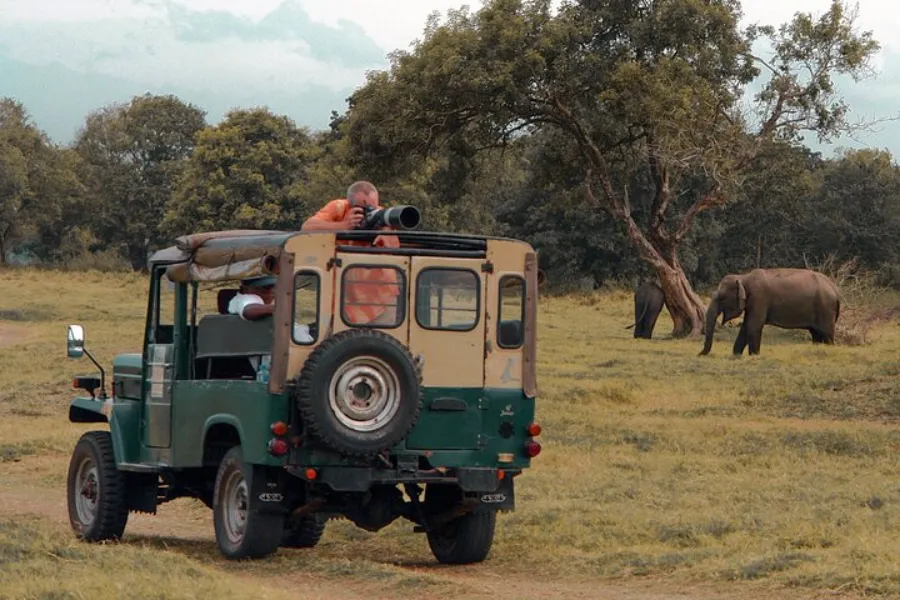 Udawalawe National Park – Sri Lanka’s Wild Elephant Sanctuary