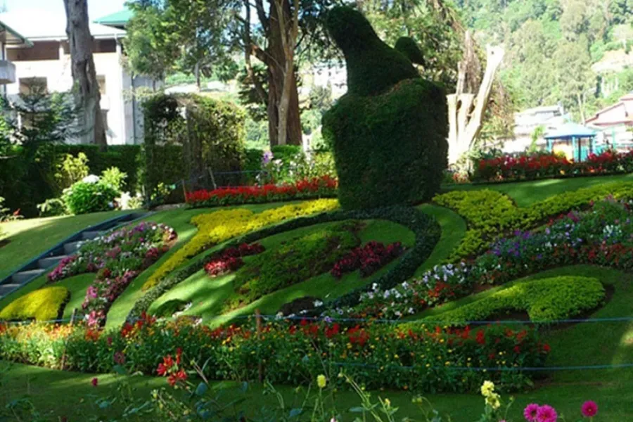 Victoria Park Nuwara Eliya – Colonial Garden and Birdwatcher’s Paradise