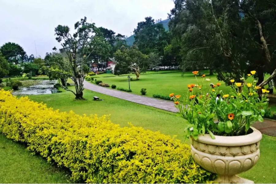 Victoria Park Nuwara Eliya – Colonial Garden and Birdwatcher’s Paradise