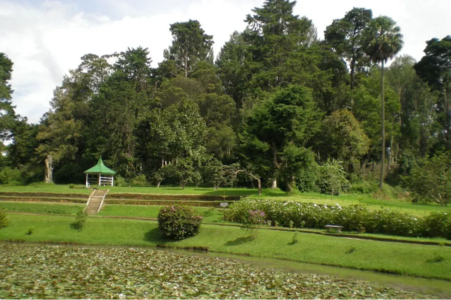 Victoria Park Nuwara Eliya – Colonial Garden and Birdwatcher’s Paradise
